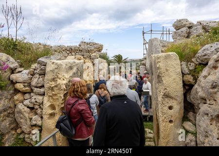 Ggantija, Gozo Island, Malte - 15 avril 2023 : Ġgantija est un complexe de temples mégalithiques de l'époque néolithique sur l'île de Gozo à Malte, touristique Banque D'Images