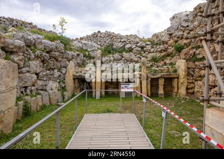 Ggantija, Gozo Island, Malte - 15 avril 2023 : Ġgantija est un complexe de temples mégalithiques de l'époque néolithique sur l'île de Gozo à Malte, touristique Banque D'Images