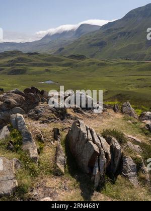 Cadair Idris et les terres agricoles environnantes vues de Pared y Cefn-hir, Llynnau Creggenen, Dolgellau, pays de Galles Banque D'Images