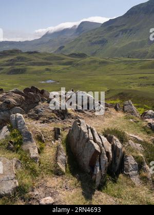 Cadair Idris et les terres agricoles environnantes vues de Pared y Cefn-hir, Llynnau Creggenen, Dolgellau, pays de Galles Banque D'Images