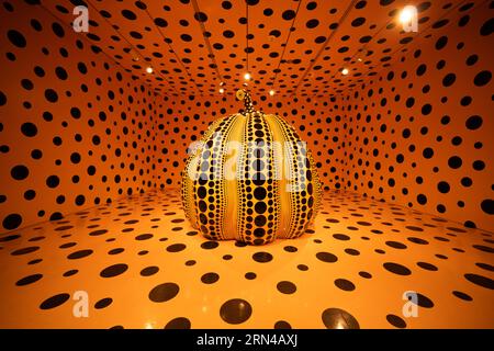 WASHINGTON DC — citrouille (2016). Il fait partie d'une exposition intitulée One with Eternity, de Yayoi Kusama, exposée au Smithsonian Hirshhorn Museum à Washington DC. One with Eternity présente la collection permanente d’œuvres de Kusama de Hirshhorn, y compris deux de ses Infinity Mirror Rooms – sa première et l’une de ses plus récentes – qui créent une sensation éblouissante d’espace sans fin. Ces salles transcendantes seront exposées aux côtés d’une peinture ancienne, de sculptures, dont Pumpkin (2016) et Flowers—Overcoat (1964), et de photographies de l’artiste. Cette exposition honore le caractère distinctif de Kusama Banque D'Images