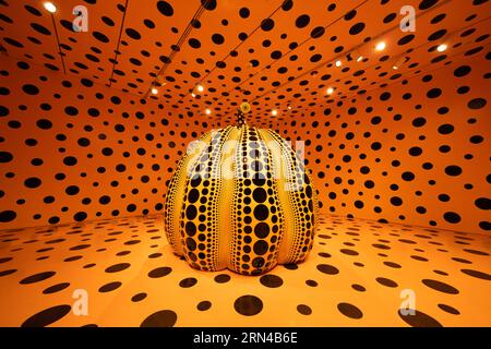 WASHINGTON D.C., États-Unis — photo grand angle de la salle de citrouille, par l'artiste Yayoi Kusama, dans le cadre de 'One with Eternity: Yayoi Kusama dans l'exposition de la collection Hirshhorn au musée Hirshhorn sur le National Mall à Washington DC. cette exposition présente les sculptures de citrouille emblématiques de Kusama et les chambres immersives Infinity Mirror Rooms, mettant en évidence ses contributions à la vie contemporaine Banque D'Images