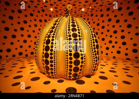 WASHINGTON DC — citrouille (2016). Il fait partie d'une exposition intitulée One with Eternity, de Yayoi Kusama, exposée au Smithsonian Hirshhorn Museum à Washington DC. One with Eternity présente la collection permanente d’œuvres de Kusama de Hirshhorn, y compris deux de ses Infinity Mirror Rooms – sa première et l’une de ses plus récentes – qui créent une sensation éblouissante d’espace sans fin. Ces salles transcendantes seront exposées aux côtés d’une peinture ancienne, de sculptures, dont Pumpkin (2016) et Flowers—Overcoat (1964), et de photographies de l’artiste. Cette exposition honore le caractère distinctif de Kusama Banque D'Images