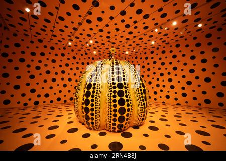 WASHINGTON DC — citrouille (2016). Il fait partie d'une exposition intitulée One with Eternity, de Yayoi Kusama, exposée au Smithsonian Hirshhorn Museum à Washington DC. One with Eternity présente la collection permanente d’œuvres de Kusama de Hirshhorn, y compris deux de ses Infinity Mirror Rooms – sa première et l’une de ses plus récentes – qui créent une sensation éblouissante d’espace sans fin. Ces salles transcendantes seront exposées aux côtés d’une peinture ancienne, de sculptures, dont Pumpkin (2016) et Flowers—Overcoat (1964), et de photographies de l’artiste. Cette exposition honore le caractère distinctif de Kusama Banque D'Images