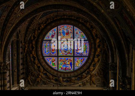 Fenêtre ronde colorée dans la cathédrale avec voûte et décoration en filigrane, Sienne, Toscane, Italie Banque D'Images