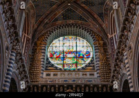 Fenêtre ronde colorée dans la cathédrale avec décoration en filigrane, y compris les têtes d'anciens papes, Sienne, Toscane, Italie Banque D'Images