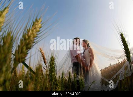 (150519) -- HUAIAN, 19 mai 2015 -- Un couple pose pour des photos de mariage dans le champ de blé du comté de Xuyi, province de Jiangsu, dans l'est de la Chine, le 19 mai 2015. Quelques nouveaux couples d'une entreprise d'alimentation électrique se sont réunis dans un champ de blé pour prendre des photos de mariage de groupe avant leurs mariages. Beaucoup de couples choisissent de se marier le 20 mai de ces années, car la prononciation de 520 sonne comme je t'aime en chinois.) (mt) CHINA-JIANGSU-HUAIAN-WEDDING PHOTO (CN) ZhouxHaijun PUBLICATIONxNOTxINxCHN 150519 Huaian Mai 19 2015 un COUPLE pose pour des photos de mariage dans le champ de blé dans le comté de Xuyi est Chine S Jiangsu province Banque D'Images