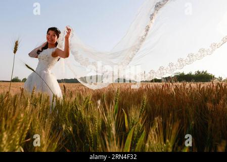 (150519) -- HUAIAN, 19 mai 2015 -- Une future mariée pose pour des photos de mariage dans le champ de blé du comté de Xuyi, province du Jiangsu, dans l'est de la Chine, le 19 mai 2015. Quelques nouveaux couples d'une entreprise d'alimentation électrique se sont réunis dans un champ de blé pour prendre des photos de mariage de groupe avant leurs mariages. Beaucoup de couples choisissent de se marier le 20 mai de ces années, car la prononciation de 520 sonne comme je t'aime en chinois.) (mt) CHINA-JIANGSU-HUAIAN-WEDDING PHOTO (CN) ZhouxHaijun PUBLICATIONxNOTxINxCHN 150519 Huaian Mai 19 2015 une mariée pose pour des photos de mariage dans le champ de blé dans le comté de Xuyi East China S Jian Banque D'Images