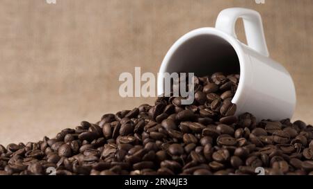 Vue de face grains de café torréfiés renversés de la tasse blanche Banque D'Images