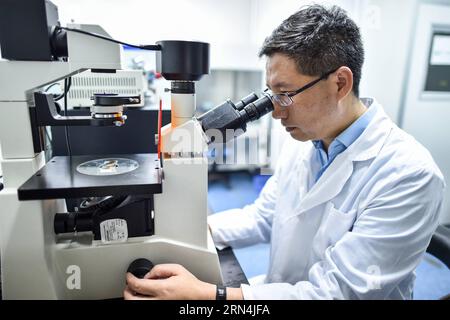 (150522) -- PÉKIN, 22 mai 2015 -- lu Xianping utilise un microscope chez Shenzhen Chipscreen Biosciences Ltd. À Shenzhen, dans la province du Guangdong, dans le sud de la Chine, le 20 mai 2015. Lu Xianping, avec quatre autres scientifiques étrangers de retour, a passé 14 ans à développer Chidamide, le premier inhibiteur oral de HDAC au monde, qui a reçu l approbation réglementaire en janvier. (zkr) CHINA-SHENZHEN-LU XIANPING-PHARMACEUTICAL RESEARCH (CN) MaoxSiqian PUBLICATIONxNOTxINxCHN 150522 Beijing Mai 22 2015 lu Xianping utilise un microscope À Shenzhen Biosciences Ltd à Shenzhen South China S Guangdong province Mai 20 201 Banque D'Images