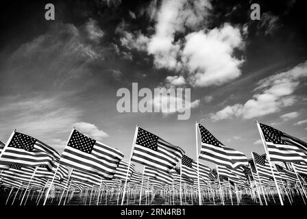 Drapeaux américains sur le National Mall Banque D'Images