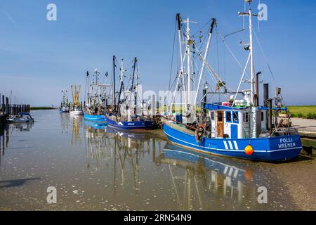 Sielhafen avec des coupeurs de crabe, Wremen, station balnéaire de la mer du Nord, Wurster côte de la mer du Nord, estuaire de Weser, Land Wursten, Basse-Saxe Mer des Wadden, Basse-Saxe. Banque D'Images