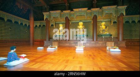 Femme coréenne priant devant les statues de Bouddha dorées dans le temple, Parc commémoratif du 18 mai, Gwangju, province de Jeollanam-do, Corée du Sud Banque D'Images