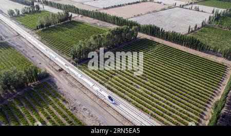 (150623) -- URUMQI, June 23, 2015 -- Photo taken with a drone on May 21, 2015 shows a bullet train runs through grape trellis in the outskirts of Hami, northwest China s Xinjiang Uygur Autonomous Region. The 1,776-kilometer Lanxin high-speed railway was put into operation on Dec. 26, 2014, linking Lanzhou, capital of Gansu Province, Xining, capital of Qinghai Province, and Urumqi, all in northwest China. In 2015, aerial photos of the Xinjiang section of Lanxin high-speed railway were taken by an aerial photography group of Xinhua News Agency and various landforms of Xinjiang have been recorded Banque D'Images