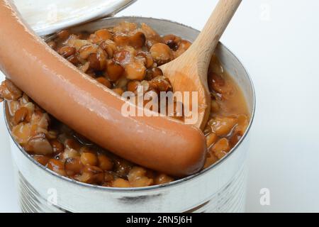Lentille (Lens culinaris) plat et saucisses en boîte, lentille Banque D'Images