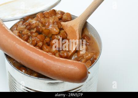 Lentille (Lens culinaris) plat et saucisses en boîte, lentille Banque D'Images