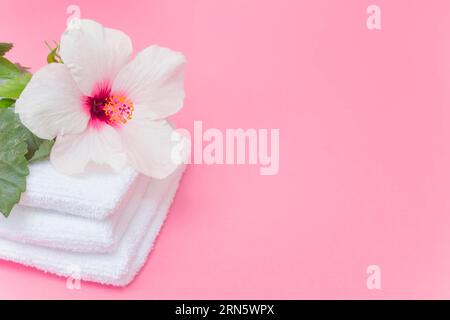 Gros plan serviettes de fleurs d'hibiscus blanc toile de fond rose Banque D'Images