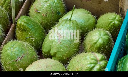 Puant (Durio zibethinus) fruit, proche, détail, marchés, plein air, Palerme, capitale, Sicile, Italie Banque D'Images