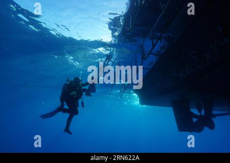 Safari bateau, bateau de plongée, livaboard Red Sea Explorer par en bas, échelle, sortie. Plongeur décollant une ailette. Site de plongée Small Abu Reef, Fury Shoals, Red Sea Banque D'Images