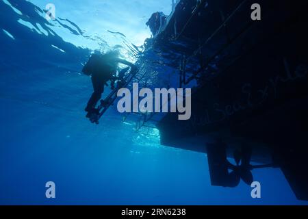 Safari bateau, bateau de plongée, livaboard Red Sea Explorer par en bas, échelle, sortie. Echelle d'escalade de plongeur. Site de plongée Small Abu Reef, Fury Shoals, Red Sea Banque D'Images