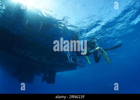 Safari bateau, bateau de plongée, livaboard Red Sea Explorer d'en bas. 2 plongeurs sur échelle, sortie. Site de plongée Small Abu Reef, Fury Shoals, Red Sea, Égypte Banque D'Images