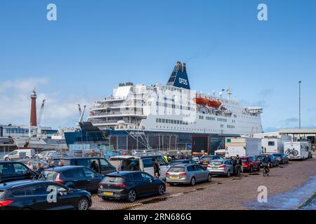 Voitures camions et camping-cars alignés dans le port de ferry d'Ijmuiden, derrière le ferry King Seaways, Hollande du Nord, pays-Bas Banque D'Images