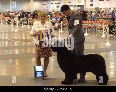 (150717) -- HOUSTON, le 16 juillet 2015 -- Un chien et son propriétaire reçoivent un prix lors de la 38e série mondiale annuelle d'expositions canines de Houston au NRG Park à Houston, aux États-Unis, le 16 juillet 2015. Le spectacle de cinq jours a débuté jeudi. Z) U.S.-HOUSTON-DOG SHOW hangxYongxing PUBLICATIONxNOTxINxCHN 150717 Houston juillet 16 2015 un chien et son propriétaire reçoivent un prix lors de la 38e série mondiale annuelle de Houston des expositions canines AU NRG Park à Houston les États-Unis juillet 16 2015 le Five Day Show a débuté jeudi Z U S Houston Dog Show PUBLICATIONxNOTxINxCHN Banque D'Images