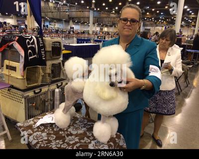 (150717) -- HOUSTON, le 16 juillet 2015 -- Une femme travaille sur son chien lors de la 38e série mondiale annuelle d'expositions canines de Houston au NRG Park à Houston, aux États-Unis, le 16 juillet 2015. Le spectacle de cinq jours a débuté jeudi. Z) U.S.-HOUSTON-DOG SHOW hangxYongxing PUBLICATIONxNOTxINxCHN 150717 Houston juillet 16 2015 une femme travaille SUR son chien lors de la 38e série mondiale annuelle de Houston des expositions canines AU NRG Park à Houston les États-Unis juillet 16 2015 le Five Day Show a débuté LE jeudi Z U S Houston Dog afficher PUBLICATIONxNOTxINxCHN Banque D'Images