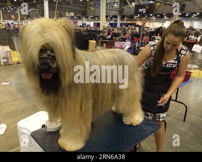 (150717) -- HOUSTON, le 16 juillet 2015 -- Une femme travaille sur son chien lors de la 38e série mondiale annuelle d'expositions canines de Houston au NRG Park à Houston, aux États-Unis, le 16 juillet 2015. Le spectacle de cinq jours a débuté jeudi. Z) U.S.-HOUSTON-DOG SHOW hangxYongxing PUBLICATIONxNOTxINxCHN 150717 Houston juillet 16 2015 une femme travaille SUR son chien lors de la 38e série mondiale annuelle de Houston des expositions canines AU NRG Park à Houston les États-Unis juillet 16 2015 le Five Day Show a débuté LE jeudi Z U S Houston Dog afficher PUBLICATIONxNOTxINxCHN Banque D'Images