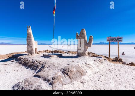 800 km carrés désert de sel Salinas grandes, dromadaire et cactus fait de sel, signe, entrez seulement avec guide, poêle à sel, informations touristiques, montagnes Banque D'Images