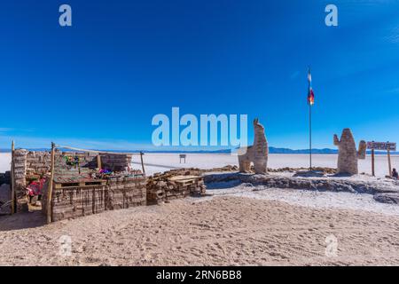 800 km carrés désert de sel Salinas grandes, dromadaire et cactus fait de sel, stalle, produits indigènes, drapeau, signe, entrez seulement avec guide, moule à sel Banque D'Images