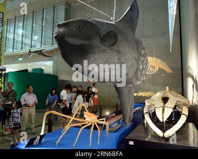 (150718) -- TOKYO, 18 juillet 2015 -- les gens regardent des répliques de spécimens d'animaux marins lors de l'exposition Mega Dinosaur 2015 à Chiba, Japon, le 18 juillet 2015.) JAPAN-CHIBA-EXHIBITION-DINOSAUR MaxPing PUBLICATIONxNOTxINxCHN 150718 Tokyo juillet 18 2015 des célébrités regardent DES répliques de spécimens d'animaux de la Marine lors de l'exposition Mega Dinosaur 2015 à Chiba Japon juillet 18 2015 Japon exposition Chiba Dinosaur MaxPing PUBLICATIONxNOTxINxCHN Banque D'Images