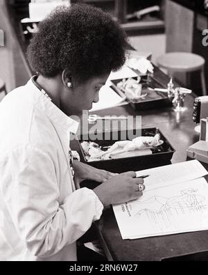 1970S AFRO-AMÉRICAIN ÉTUDIANT EN CLASSE DE BIOLOGIE TRAVAILLANT SUR LA DISSECTION D'UNE GRENOUILLE - S18529 HAR001 HARS ETHNICITÉ NOIRE ENSEIGNEMENT SUPÉRIEUR CONNEXION COLLÈGES COED COOPÉRATION GRENOUILLE JEUNE FEMME ADULTE NOIR ET BLANC HAR001 AFRO-AMÉRICAINS DÉMODÉS Banque D'Images