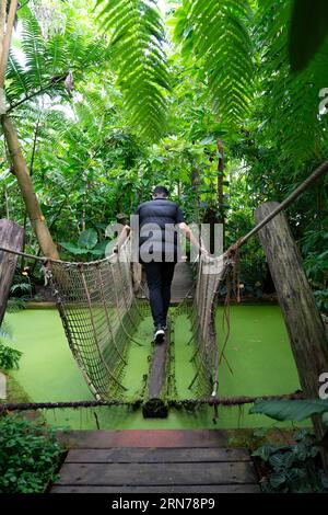 Vue arrière de l'homme marche sur le pont suspendu dans le jardin botanique national de Belgique à Meise (Pachthof in de nationale Plantentuin van België i Banque D'Images