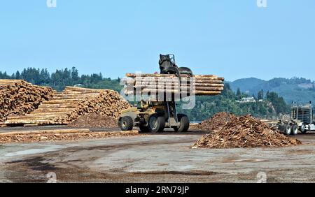 Chariot élévateur déchargeant les grumes de sapin côtier Douglas 'Pseudotsuga menziesii' du camion de transport, North Bend, Oregon.d Banque D'Images