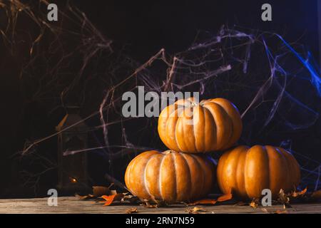 Citrouilles et décorations en toile d'araignée avec espace de copie sur fond noir Banque D'Images