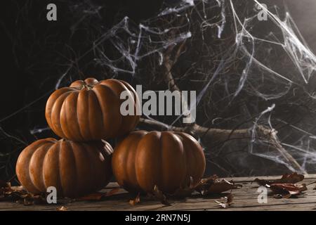 Citrouilles et décorations en toile d'araignée avec espace de copie sur fond noir Banque D'Images