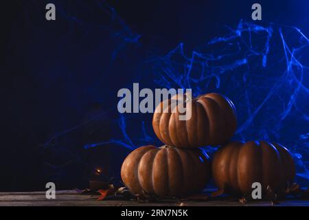 Citrouilles et décorations en toile d'araignée avec espace de copie sur fond bleu Banque D'Images