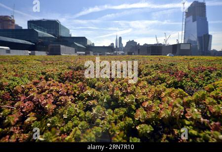 (150917) -- NEW YORK, 17 septembre 2015 -- une photo prise le 17 septembre 2015 montre le toit vert du Jacob K. Javits Convention Center à New York, aux États-Unis. Le Jacob K. Javits Convention Center abrite le dernier projet d'architecture de New York - un toit vert de la taille d'environ cinq terrains de football et le plus grand dans la région nord-est des États-Unis. Ce toit a amélioré un engagement en faveur de la durabilité qui devrait permettre une réduction estimée de 26 % de la consommation d énergie du Centre Javits. ) ETATS-UNIS-NEW YORK-TOIT VERT-RÉDUCTION DE LA CONSOMMATION D'ÉNERGIE WANGXLEI PUBLICATIONXNOTXINXCHN Banque D'Images
