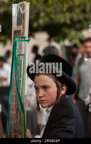 (150927) -- JÉRUSALEM, 27 septembre 2015 -- un garçon juif orthodoxe tient des espèces de plantes qui seront utilisées comme symboles lors de la célébration de la fête de Soukcot, sur un marché de Jérusalem, le 27 septembre 2015. Le Soukcot , fête des Tabernacles, tombant du coucher du soleil du 27 septembre au coucher du soleil du 4 octobre cette année, est une semaine biblique de vacances qui rappelle les 40 ans de voyage dans le désert après l'Exode de l'esclavage en Egypte.) (lrz) MIDEAST-JERUSALEM-JUDAISM-SUKKOT LixRui PUBLICATIONxNOTxINxCHN Jérusalem sept 27 2015 au garçon juif orthodoxe détient les espèces végétales à utiliser comme symbole pendant la célébration de Banque D'Images