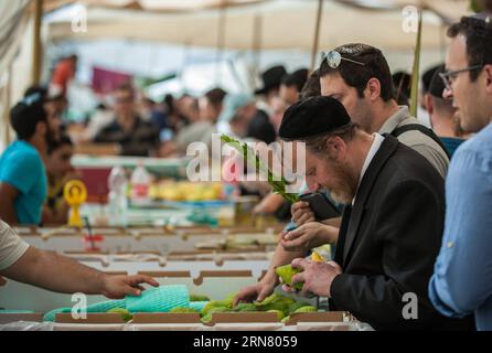 (150927) -- JÉRUSALEM, 27 septembre 2015 -- les hommes juifs choisissent quatre espèces de plantes qui seront utilisées comme symboles lors de la célébration de la fête de Soukcot, sur un marché de Jérusalem, le 27 septembre 2015. Le Soukcot , fête des Tabernacles, tombant du coucher du soleil du 27 septembre au coucher du soleil du 4 octobre cette année, est une semaine biblique de vacances qui rappelle les 40 ans de voyage dans le désert après l'Exode de l'esclavage en Egypte.) (lrz) MIDEAST-JERUSALEM-JUDAISM-SUKKOT LixRui PUBLICATIONxNOTxINxCHN Jérusalem sept 27 2015 hommes juifs sélectionnez quatre espèces de plantes à utiliser comme symbole pendant la célébration de Soukkot Holi Banque D'Images