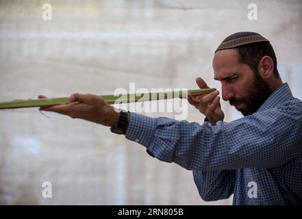 (150927) -- JÉRUSALEM, 27 septembre 2015 -- un juif orthodoxe inspecte une fronde de palmier, l'une des quatre espèces de plantes qui seront utilisées comme symbole lors de la célébration de la fête de Soukcot, sur un marché de Jérusalem, le 27 septembre 2015. Le Soukcot , fête des Tabernacles, tombant du coucher du soleil du 27 septembre au coucher du soleil du 4 octobre cette année, est une semaine biblique de vacances qui rappelle les 40 ans de voyage dans le désert après l'Exode de l'esclavage en Egypte.) (lrz) MIDEAST-JERUSALEM-JUDAÏSME-SUKKOT LixRui PUBLICATIONxNOTxINxCHN Jérusalem sept 27 2015 à l'homme juif orthodoxe inspecter une fronde palmier l'un des quatre pla Banque D'Images