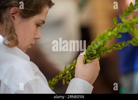 (150927) -- JÉRUSALEM, 27 septembre 2015 -- un juif orthodoxe inspecte une branche de myrte, l'une des quatre espèces de plantes qui seront utilisées comme symbole lors de la célébration de la fête de Soukcot, sur un marché de Jérusalem, le 27 septembre 2015. Le Soukcot , fête des Tabernacles, tombant du coucher du soleil du 27 septembre au coucher du soleil du 4 octobre cette année, est une semaine biblique de vacances qui rappelle les 40 ans de voyage dans le désert après l'Exode de l'esclavage en Egypte.) (lrz) MIDEAST-JERUSALEM-JUDAÏSME-SUKKOT LixRui PUBLICATIONxNOTxINxCHN Jérusalem sept 27 2015 à l'homme juif orthodoxe inspecte une branche de Myrtle un de FO Banque D'Images