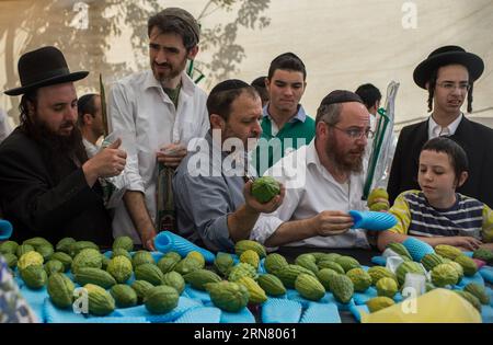 (150927) -- JÉRUSALEM, 27 septembre 2015 -- des hommes juifs choisissent Etrogs (citrons), l'une des quatre espèces végétales à utiliser comme symbole lors de la célébration de la fête de Soukcot, sur un marché de Jérusalem, le 27 septembre 2015. Le Soukcot , fête des Tabernacles, tombant du coucher du soleil du 27 septembre au coucher du soleil du 4 octobre cette année, est une semaine biblique de vacances qui rappelle les 40 ans de voyage dans le désert après l'Exode de l'esclavage en Egypte.) (lrz) MIDEAST-JERUSALEM-JUDAISM-SUKKOT LixRui PUBLICATIONxNOTxINxCHN Jerusalem sept 27 2015 hommes juifs Sélectionner citrons Etrogs une des quatre espèces végétales à utiliser Banque D'Images