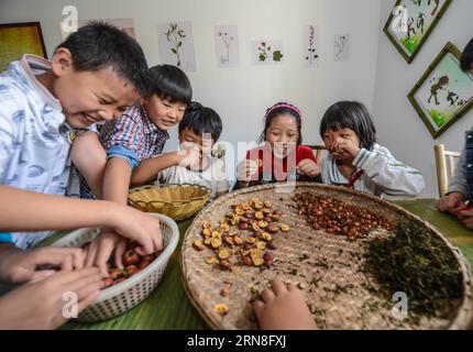 (151022) -- CHANGXING, 22 octobre 2015 -- les élèves de l'école primaire de Baixian apprennent à traiter la phytothérapie dans le comté de Changxing, dans la province du Zhejiang de l'est de la Chine. Situé dans un village de montagne, l'école primaire Baixian cultive plus de 130 sortes de phytothérapie dans son jardin de 5 000 mètres carrés, caractérisant la phytothérapie dans l'éducation.) (dhf) CHINE-ZHEJIANG-ÉCOLE PRIMAIRE-ÉDUCATION EN PHYTOTHÉRAPIE (CN) XuxYu PUBLICATIONxNOTxINxCHN Chang Xing OCT 22 2015 élèves de l'école primaire apprennent à traiter la phytothérapie dans le comté de Chang Xing est Chine S Zhejiang province situé dans une montagne Vil Banque D'Images