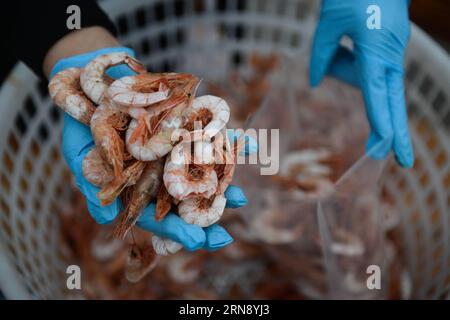 (151111) -- ZHOUSHAN, 11 novembre 2015 -- Wang Zhifen emballe des fruits de mer pour les costumiers de sa boutique en ligne avant le Singles Day Shopping Spree, à Zhoushan, dans la province du Zhejiang de l'est de la Chine. Wang Zhifen, 53 ans, était pêcheuse et elle a ouvert son magasin de fruits de mer en ligne l'année dernière et est devenue le premier pêcheur de commerce électronique du village. Le géant chinois du commerce électronique Alibaba avait enregistré des ventes de 10 milliards de yuans (1,57 milliards de dollars américains) dans les 12 minutes et 28 secondes de minuit, brisant encore des records sur cette année s Singles Day le mercredi, Chine s achat en ligne fiesta semblable à l'Amérique s Cyber Monday.) (zkr) Banque D'Images