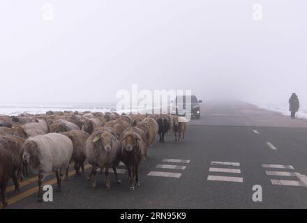 (151120) -- URUMQI, 20 novembre 2015 -- Un berger conduit des moutons dans un brouillard dense à la périphérie d'Urumqi, capitale de la région autonome ouïgoure du Xinjiang du nord-ouest de la Chine, 20 novembre 2015. L'observatoire météorologique local jeudi soir a émis une alerte jaune de brouillard épais. ) (wf) CHINA-URUMQI-FOG ALERT (CN) WangxFei PUBLICATIONxNOTxINxCHN 151120 Urumqi nov 20 2015 un berger conduit des moutons dans un brouillard dense À la périphérie d'Urumqi capitale du nord-ouest de la Chine S Xinjiang Uygur région autonome nov 20 2015 Observatoire météorologique local jeudi soir a émis une alerte jaune de brouillard épais WF Chine Urumq Banque D'Images