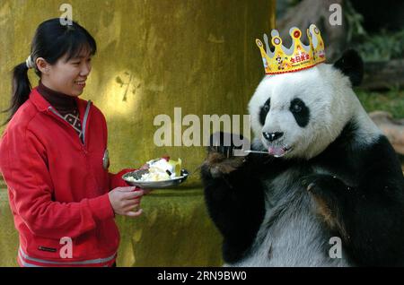 (151128) -- FUZHOU,2015 -- une photo prise le 18 décembre 2005 montre un panda géant Basi mangeant un gâteau au centre de recherche et d'échange de panda à Fuzhou, capitale de la province du Fujian du sud-est de la Chine, pour célébrer son 25e anniversaire. Basi a célébré son 35e anniversaire le 28 novembre 2015, ce qui équivaut à peu près à 130 ans d’âge humain. Basi est actuellement le plus vieux panda vivant à ce jour dans le monde. Basi en 1987, visite le zoo de San Diego aux États-Unis pour des spectacles. Elle attire environ 2,5 millions de visiteurs au cours de son séjour de six mois aux États-Unis et émerveille de nombreux visiteurs par ses performances acrobatiques. En 1990, SH Banque D'Images