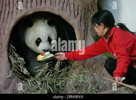 (151128) -- FUZHOU,2015 -- une photo prise le 18 décembre 2005 montre un panda géant Basi mangeant un gâteau au centre de recherche et d'échange de panda à Fuzhou, capitale de la province du Fujian du sud-est de la Chine, pour célébrer son 25e anniversaire. Basi a célébré son 35e anniversaire le 28 novembre 2015, ce qui équivaut à peu près à 130 ans d’âge humain. Basi est actuellement le plus vieux panda vivant à ce jour dans le monde. Basi en 1987, visite le zoo de San Diego aux États-Unis pour des spectacles. Elle attire environ 2,5 millions de visiteurs au cours de son séjour de six mois aux États-Unis et émerveille de nombreux visiteurs par ses performances acrobatiques. En 1990, SH Banque D'Images