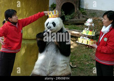 (151128) -- FUZHOU,2015 -- une photo prise le 18 décembre 2005 montre un panda géant Basi mangeant un gâteau au centre de recherche et d'échange de panda à Fuzhou, capitale de la province du Fujian du sud-est de la Chine, pour célébrer son 25e anniversaire. Basi a célébré son 35e anniversaire le 28 novembre 2015, ce qui équivaut à peu près à 130 ans d’âge humain. Basi est actuellement le plus vieux panda vivant à ce jour dans le monde. Basi en 1987, visite le zoo de San Diego aux États-Unis pour des spectacles. Elle attire environ 2,5 millions de visiteurs au cours de son séjour de six mois aux États-Unis et émerveille de nombreux visiteurs par ses performances acrobatiques. En 1990, SH Banque D'Images